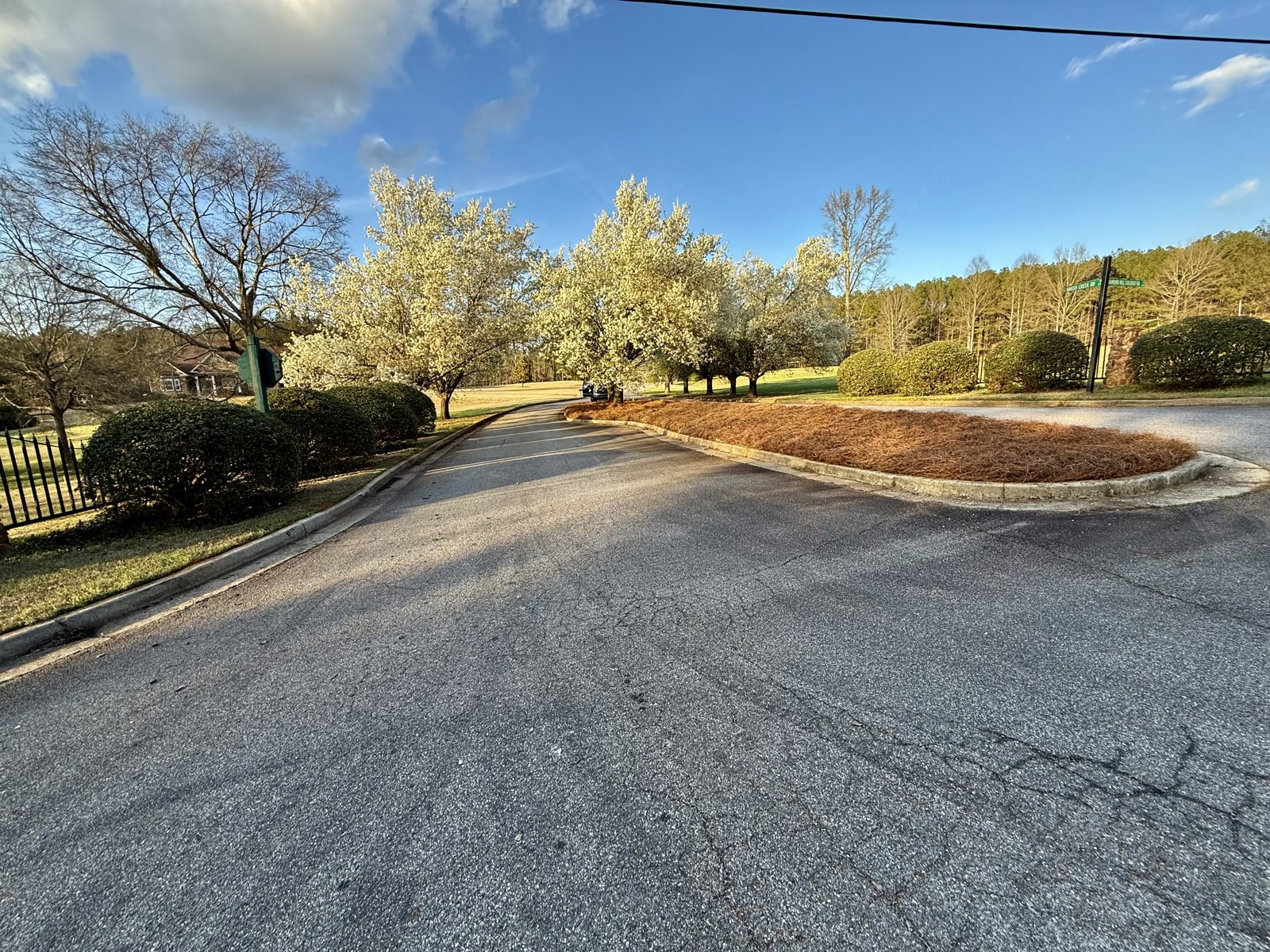 Fresh pine straw installation along a landscaped neighborhood entrance