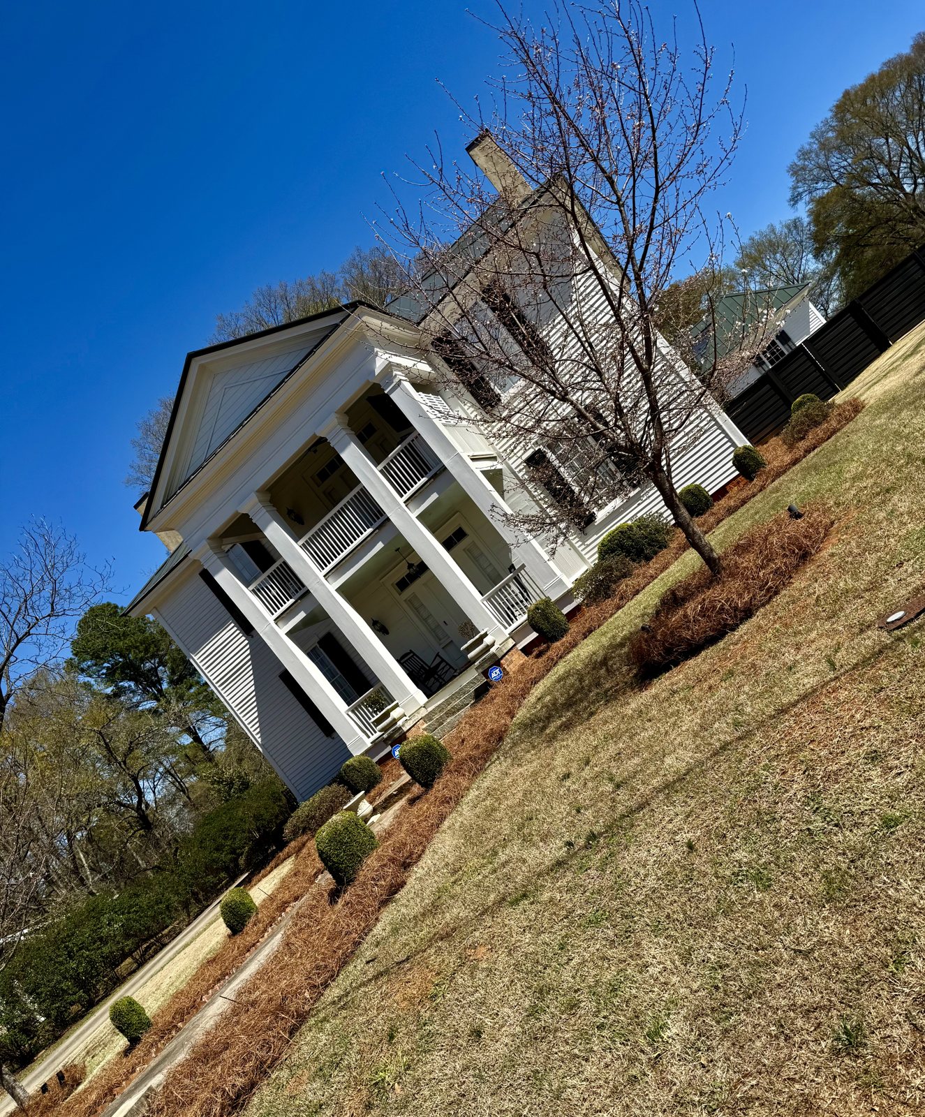 Maintained residential lawn with trimmed shrubs and clean landscape beds