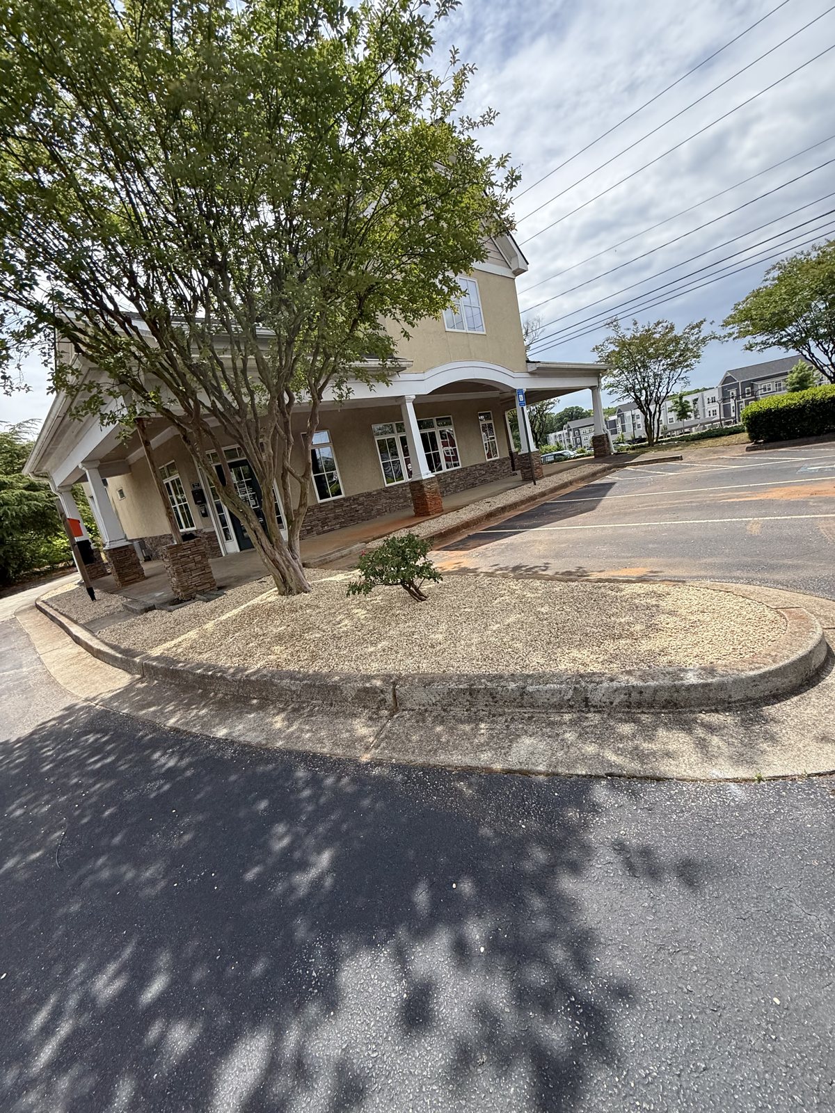Cleaned commercial landscape bed surrounding a mature tree